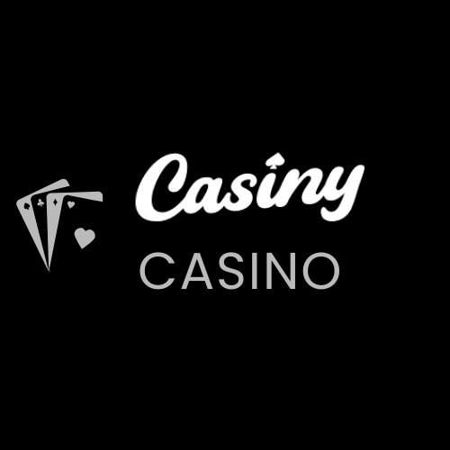 Understanding Casiny Casino Payment Methods