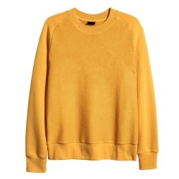 Sweat Shirt